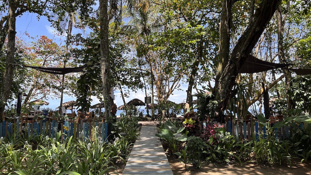View from the Hotel Banana Azul towards the beach, in Playa Negra