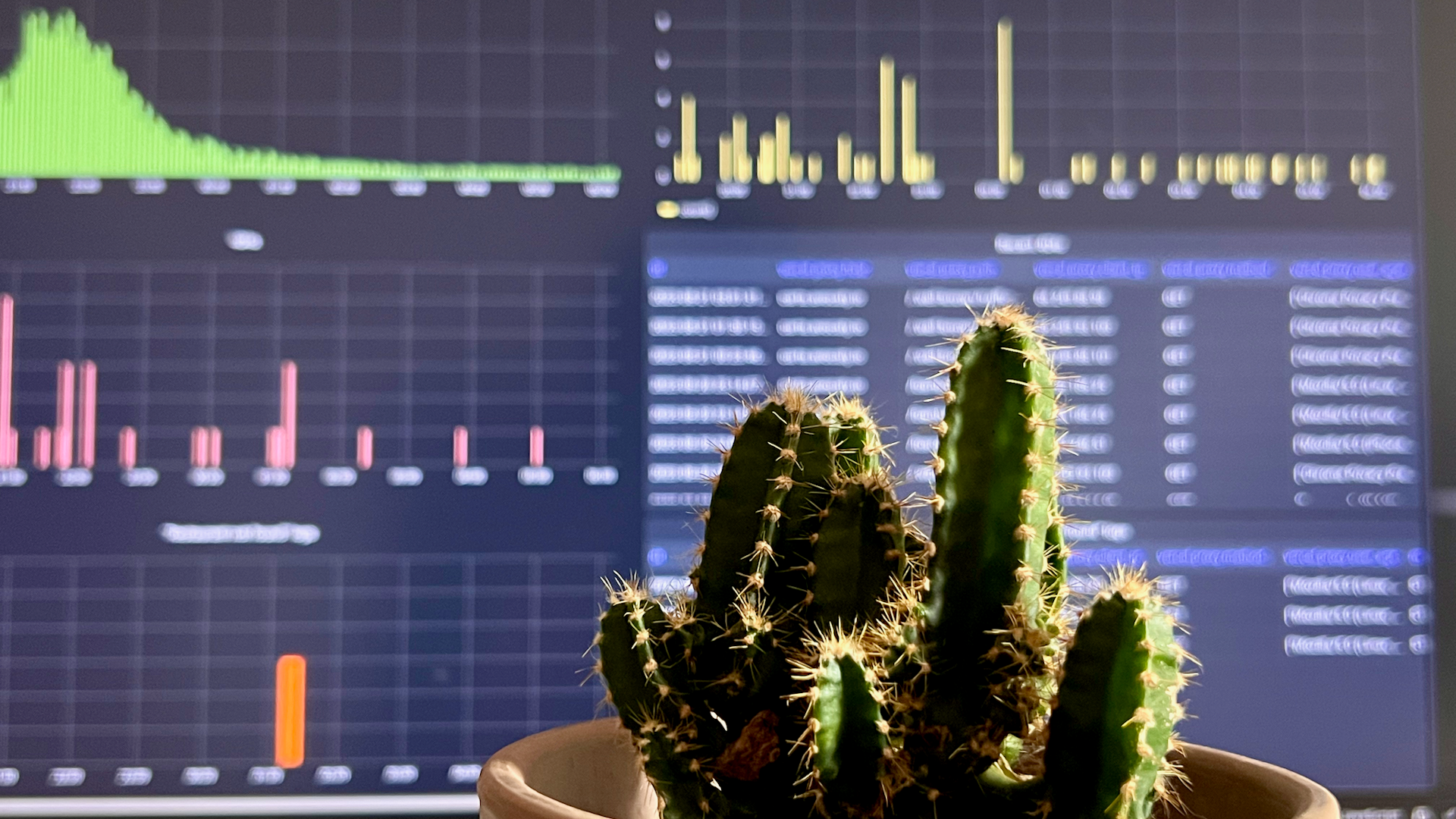 The cute cactus that keeps me company while I look at metrics in Grafana 🌵