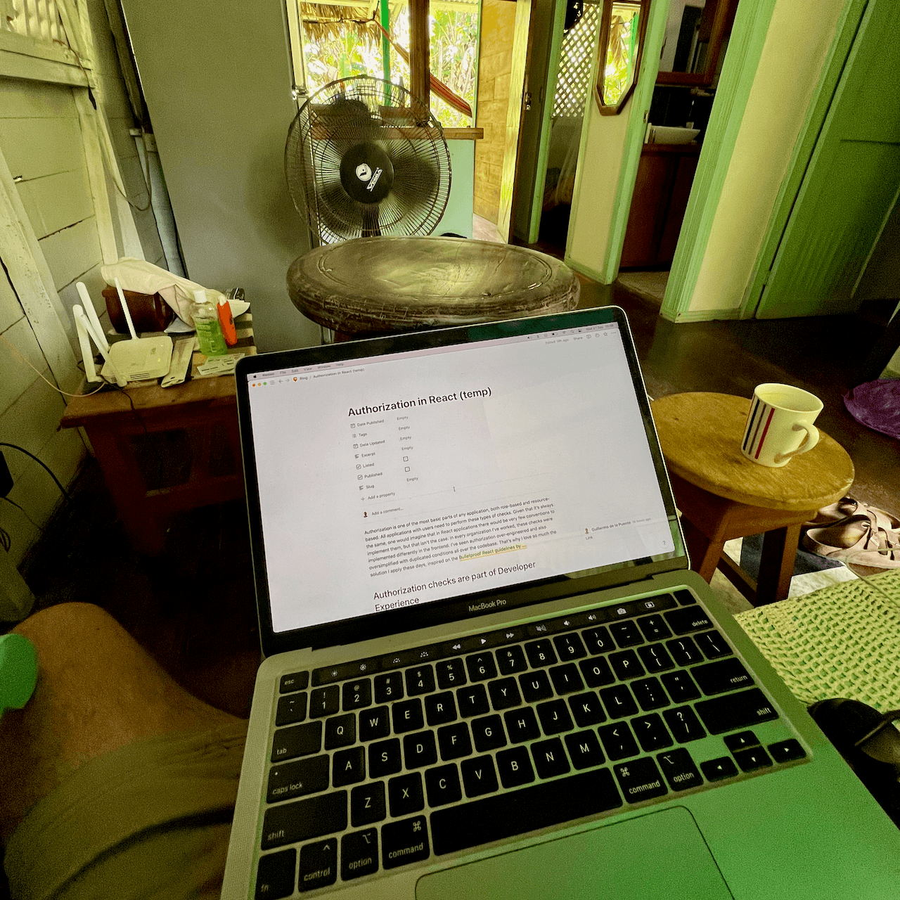 Writing, writing, writing. That time, about authorization in React from Puerto Viejo de Talamanca.